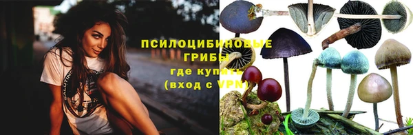таблы Алексеевка