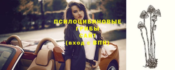 стафф Алзамай