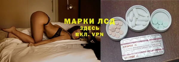 стафф Алзамай